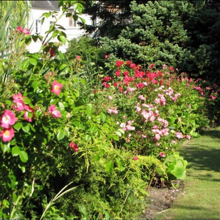 Au Jardin Des Deux Ponts Bed and Breakfast Abbeville Esterno foto