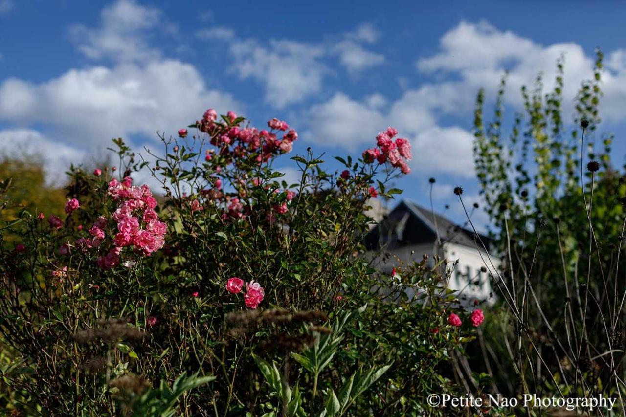 Au Jardin Des Deux Ponts Bed and Breakfast Abbeville Esterno foto