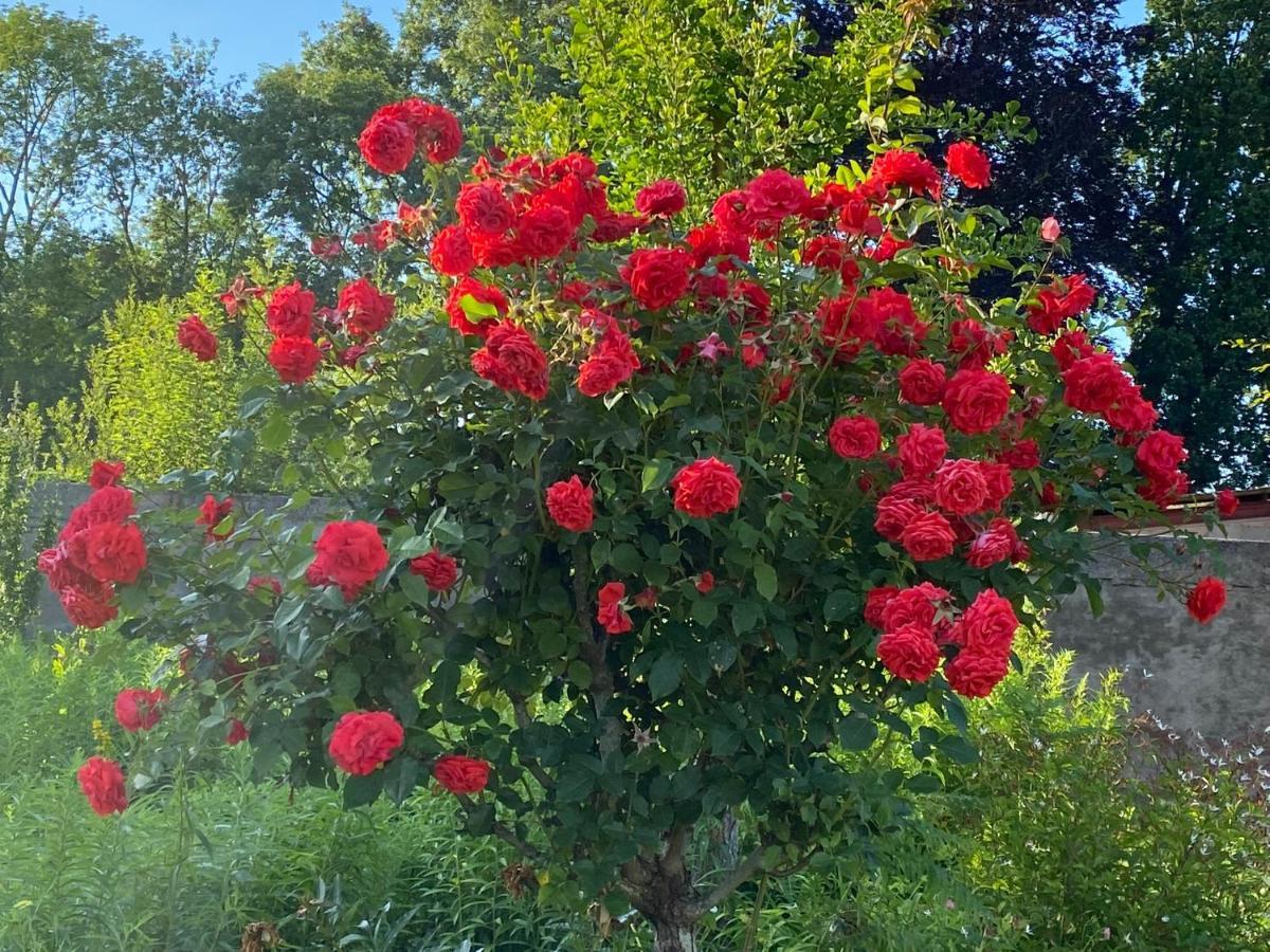 Au Jardin Des Deux Ponts Bed and Breakfast Abbeville Esterno foto